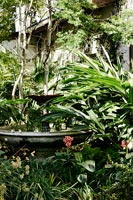 Fontaine dans un jardin tropical