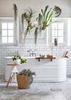 Plantes d'intérieur autour du bain