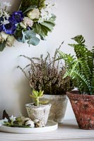 Affichage floral avec bruyère, fougères et plantes succulentes en pots
