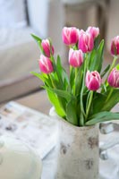 Tulipes dans une cruche