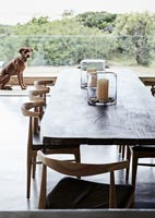 Salle à manger moderne ouverte et chien de compagnie