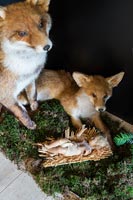 Détail de renards en peluche dans l'affichage de Noël