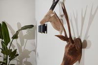 Têtes d'animaux en bois sculpté sur le mur