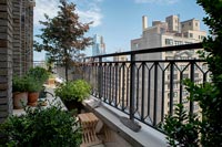 Plantes dans le balcon avec des bâtiments de New York en arrière-plan
