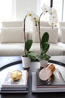 Orchidées en pot sur la table basse dans le salon moderne en noir et blanc