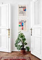 Images encadrées et grande plante d'intérieur dans le couloir classique
