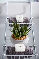 Cactus en pot sur chariot de bain