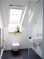 Salle de bain moderne avec fenêtre de toit