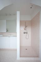 Douche dans la salle de bain avec carrelage rose