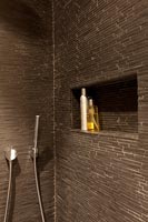 Alcôve de douche marron avec articles de toilette