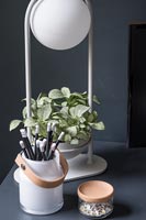 Lampe en argent avec support de plante intégré contre un mur peint en noir sur le bureau