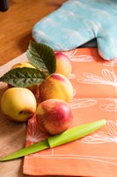 Nectarines et un couteau sur la table de la cuisine