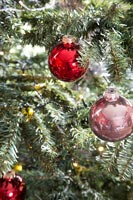 Boules sur l'arbre de Noël