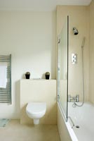 Salle de bain moderne avec douche dans la baignoire