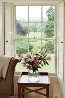 Fleurs dans un vase par fenêtre avec vue sur la campagne