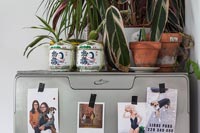 Plantes d'intérieur au-dessus du réfrigérateur-congélateur couvert de photos de famille
