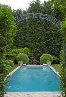 Grande piscine dans le jardin