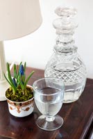 Carafe et verre sur table d'appoint avec jacinthe de raisin en pot en fleur