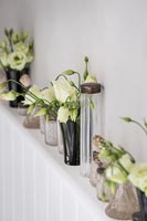 Collection de minuscules vases sur étagère avec des fleurs crème
