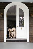 Porte d'entrée traditionnelle avec chiens de compagnie
