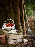 Détail jardin avec panier de pommes