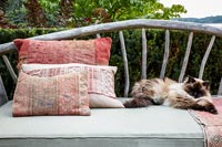 Chat dormant sur un banc extérieur