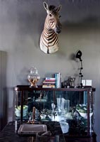 Tête de zèbre sur le mur dans une cuisine éclectique