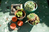Aperçu des plantes en pot sur la table de jardin