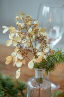 Détail de fleurs d'hortensia séchées dans un vase sur la table de Noël