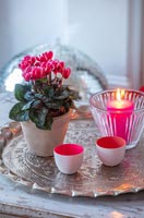 Plante cyclamen rose et bougies sur plateau d'argent