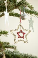 Étoile de Diamante sur l'arbre de Noël