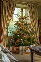 Arbre de Noël encadré dans une fenêtre avec des rideaux d'or dans le salon classique