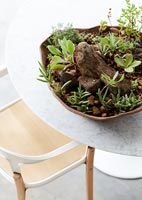 Plantes d'intérieur sur table à manger