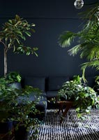 Salon noir avec plantes vertes