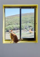 Chat animal assis sur le rebord de la fenêtre avec vue sur la campagne au-delà