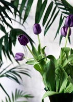 Détail de tulipes violettes dans un vase noir