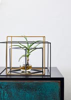 Plante en vase de verre et cadre en métal sur buffet