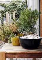 Plantes en pot sur table en bois sur terrasse