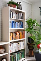 Bibliothèque et plantes d'intérieur