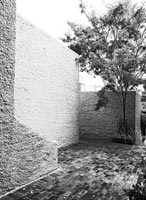 Image en noir et blanc du jardin de la cour
