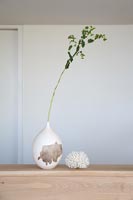 Tige et feuillage de plante dans un vase en céramique