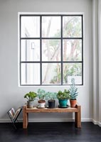 Fenêtre moderne avec des plantes en pot