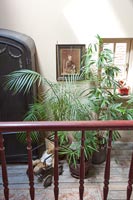 Couloir classique avec des plantes