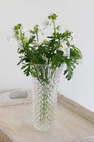 Fleurs de campagne dans un vase