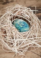 Oeufs décoratifs dans les nids