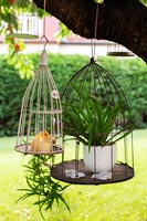 Cages à oiseaux dans le jardin