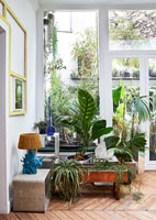 Salon moderne rempli de plantes d'intérieur - vue à travers les fenêtres de la cour