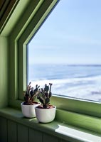Cactus dans de minuscules pots sur le rebord de la fenêtre avec vue sur la mer