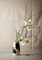 Fleurs coupées et tiges d'arbres dans un vase