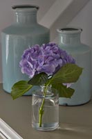 Fleur d'hortensia dans un vase à côté de bouteilles en céramique bleues